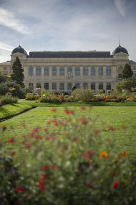 Jardin_des_plantes